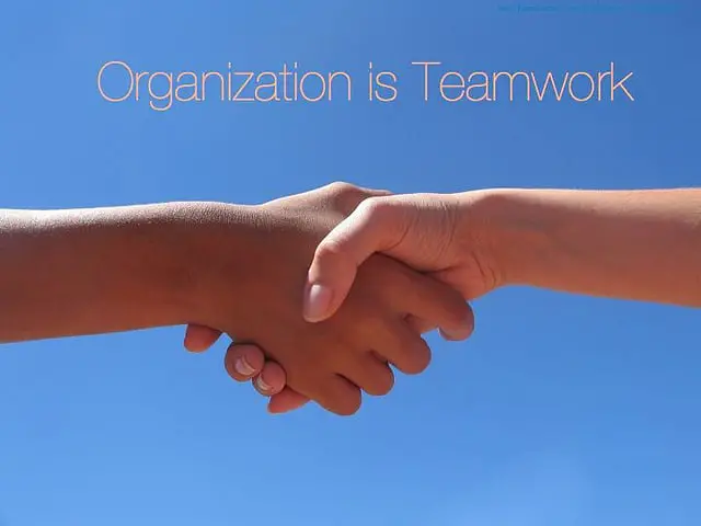 Organization_is_teamwork